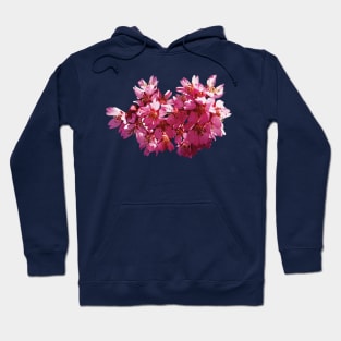 Cherry Blossoms Hoodie